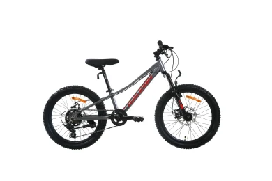 אופני הרים 24 אפור/אדום RALEIGH 224 DISC