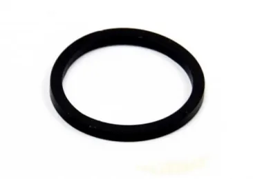 X2 CALIPER PISTON SEAL