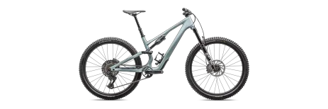 אופני הרים שיכוך מלא Stumpjumper 15 Comp Gloss sea S4