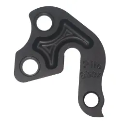 D307 - אוזן Derailleur hanger for Intense