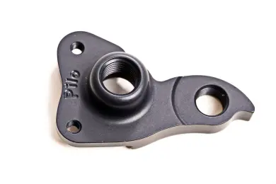 D725 - אוזן Derailleur hanger for Asylum